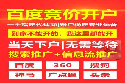 竞价推广实战：经典案例深度解析